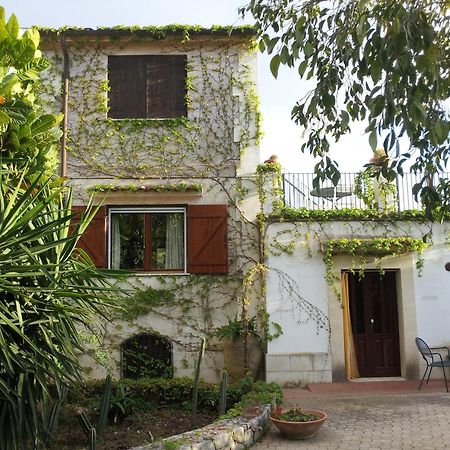 Eurialo Green Suites Belvedere  Exterior foto