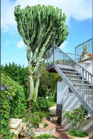 Eurialo Green Suites Belvedere  Exterior foto