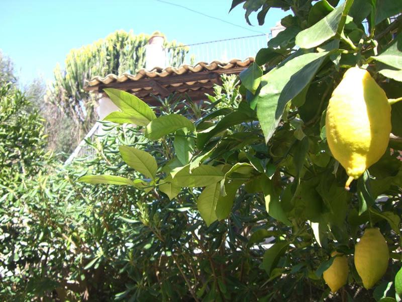 Eurialo Green Suites Belvedere  Exterior foto
