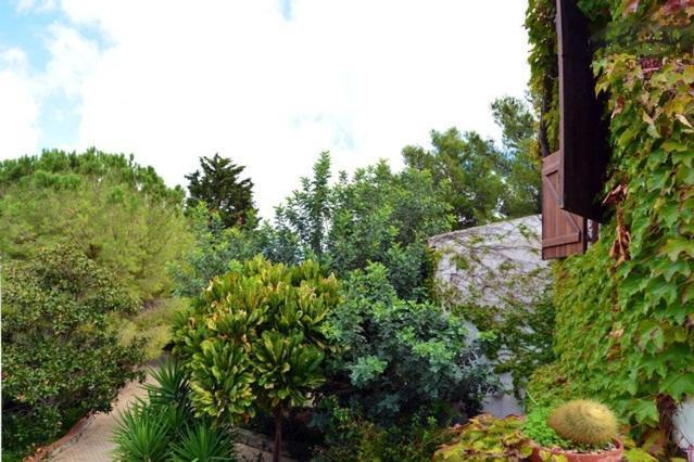 Eurialo Green Suites Belvedere  Exterior foto