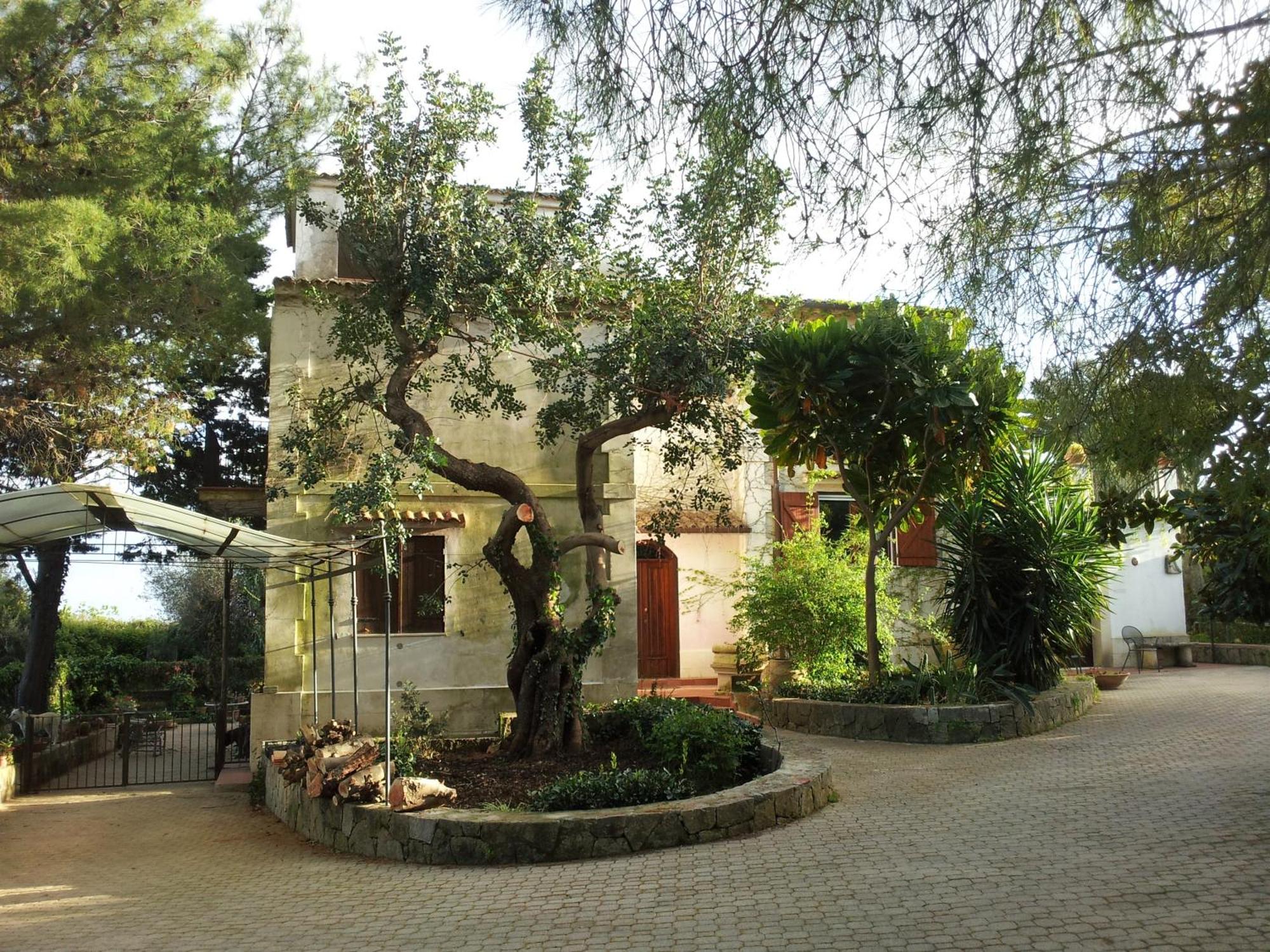 Eurialo Green Suites Belvedere  Exterior foto